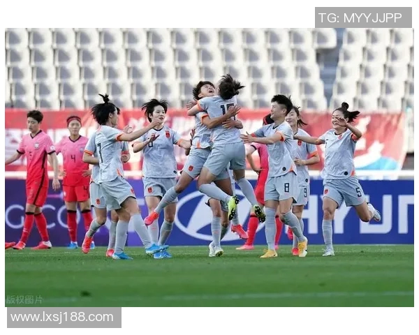 杭州排球队节奏之争引发热议球迷观点各异探讨比赛风格与战术选择