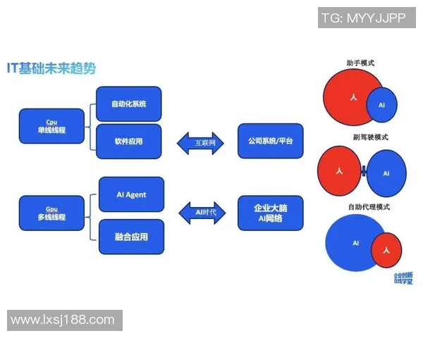 杭州飞盘队中路突破创新之路探秘与战术分析