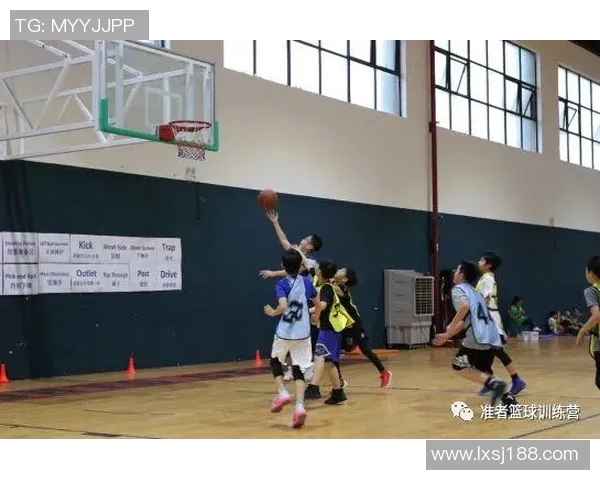 篮球架下的荣耀与挑战：探索NBA赛场上的核心装备与战术运用