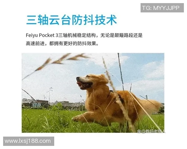 重庆极限运动队灵活性表现的数据分析与提升策略探讨